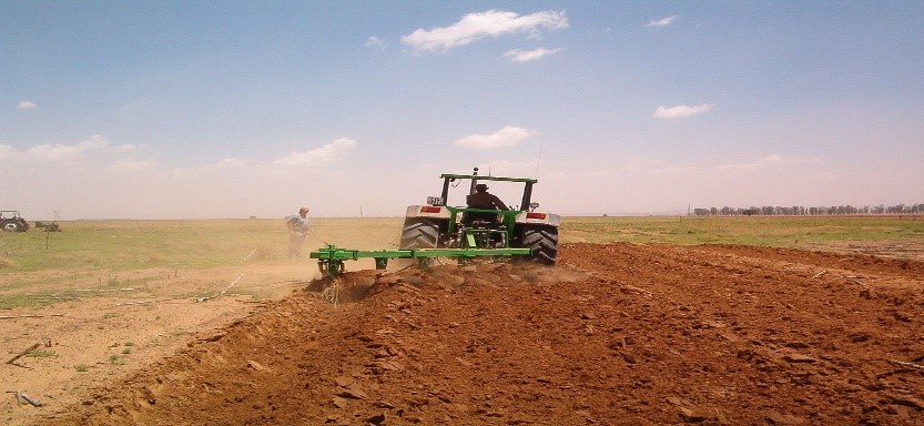 Plough (A Plough in action)